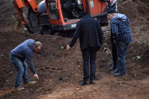 A backhoe running over the soil in the Royal National Park came to a sudden halt about 2.30pm after the driver spotted ...