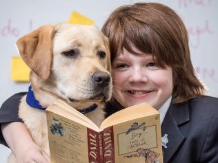 Classroom reading dog