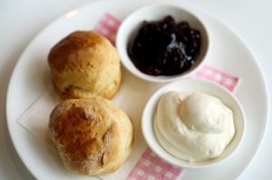 Devonshire Tea Cafe, Surry Hills. Devonshire Tea - A pair of fresh scones, jam and whipped cream.