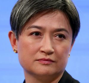 Senator Penny Wong criticised commentators who have sought to strip the element of love from marriage.