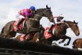 John Allen riding Renew (r) jumping before defeating Martin Kelly riding Urban Explorer (L) in Race 4, The Australian ...