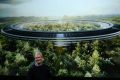 Apple CEO Tim Cook speaks in front of an artist's impression of the new campus, Apple Park. 