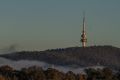 Fog on the first day of winter 2017 in Canberra.