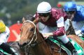 Group 1 potential: Eckstein wins The West Tradies CFMEU Handicap at Rosehill last October.