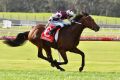 John Allen drives two-year-old Cliff's Edge to victory in the opening race on the card at Sandown on Saturday.