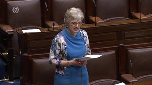 Katherine Zappone said that UN Special Rapporteur is due to visit Ireland