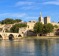 Avignon showing the Papal Palace and Pont Saint-Benezet.