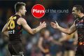 AFL plays of round 10