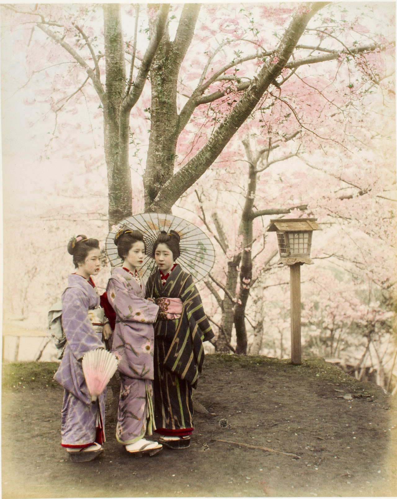 Cherry blossoms have always made beautiful backdrops for photos. 🌸 More than a century ago, three young women dressed in kimonos pose with parasols under a blooming cherry tree.
This photo (from sometime between 1860 and 1900) is in our...