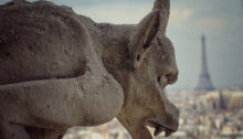 photo of gargoyle in Paris