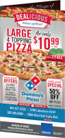 drmg dealicious pizza solo plus mailer sample