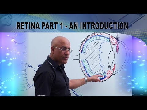 Retina Part 1 - An Introduction