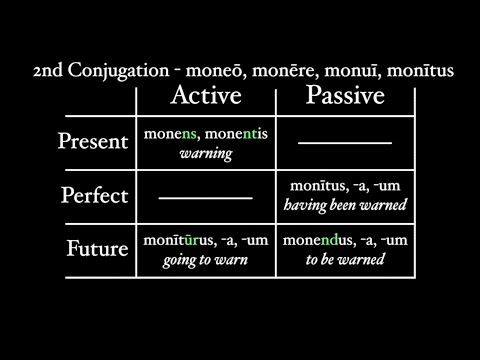 Participles in Latin