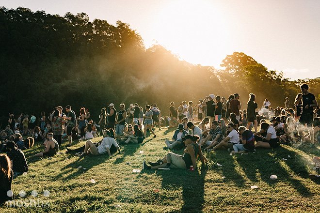 BIG PINEAPPLE MUSIC FESTIVAL