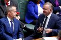 Opposition Leader Bill Shorten and infrastructure spokesman Anthony Albanese during question time.