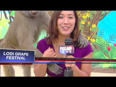 Best News Bloopers September 2013