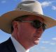 Deputy Prime Minister Barnaby Joyce remains a big figure in Queensland.
