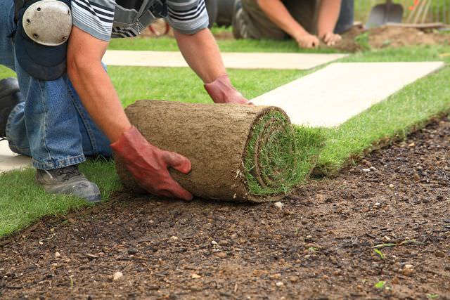 Treesbgone - Services - Landscaping in MORNINGTON PENINSULA VIC