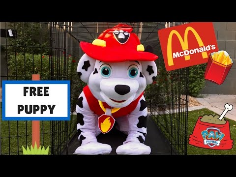 Marshall the Paw Patrol Pup Potty Training ~ Goes to McDonalds ~ Kid Show Video