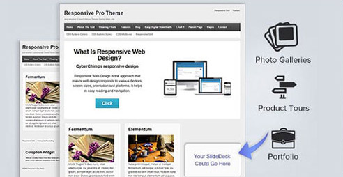 Upgrade From Free Responsive Theme