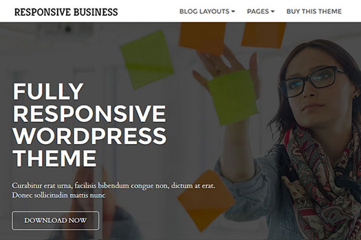 Responsive Business WordPress Theme