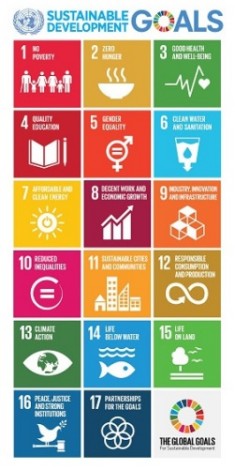 Localizing and Mainstreaming SDGs at the County