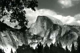 The Yosemite that comes to mind when  you think  of its natural  beauty and ruggedness. This is looking in the direction of Half Dome, with some deer grazing. September 20, 1990