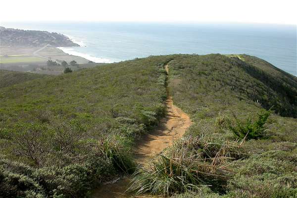 A trail from Gray Whale Cove on the San Mateo County Coast leads up to a nearby ridge for a beautiful ocean view.