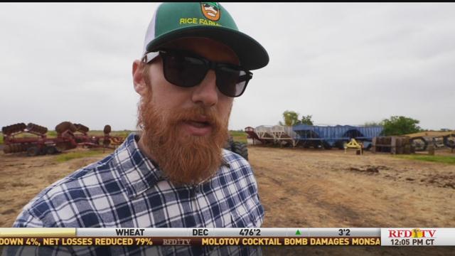 California Rice Farmer Matt Sligar