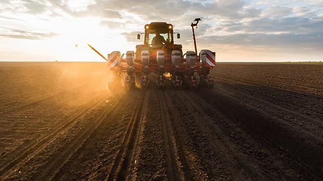 Planting crops at sunrise in a large field.