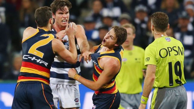 Cop that: The Crows' Matt Crouch reacts to a jumper punch from Tom Hawkins.