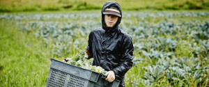 Farm Harvest