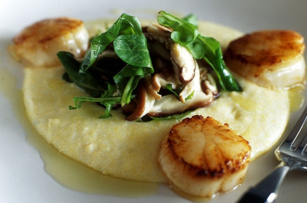 Scallops with blue cheese polenta and shitake mushrooms. <a ...