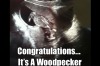 According to our ultrasound, we're having a woodpecker. (<a href="http://www.reddit.com/user/AliceAsya">img</a>)