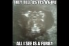 The furby baby (<a href="http://themetapicture.com/it-cannot-be-unseen/">img</a>)