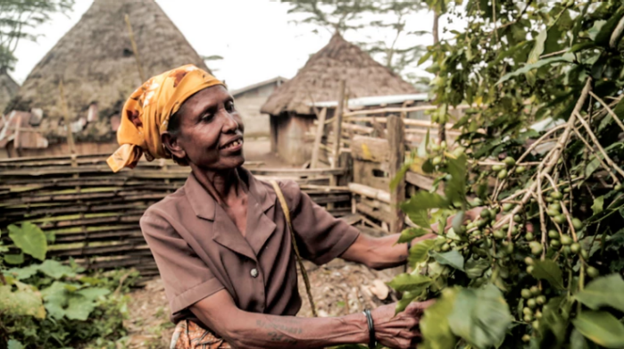 TIMOR-LESTE: STAY CONNECTED Reducing Climate Risks, Building the Future