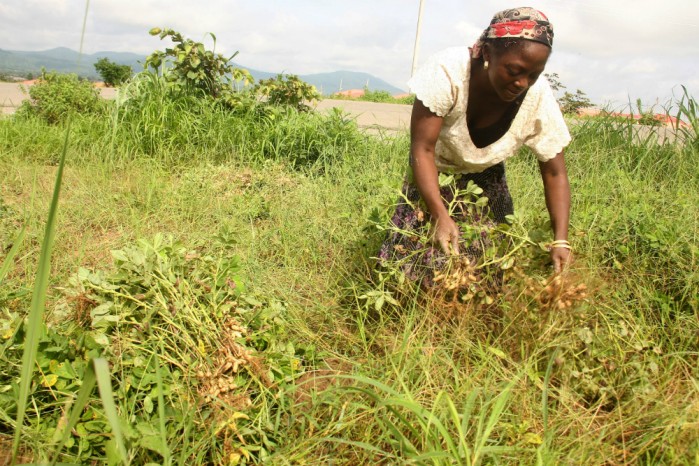 Women empowerment key to transforming the continent’s agriculture