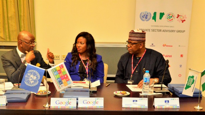 Let us bring private sector into 'engine room' of SDGs in Nigeria - Edward Kallon