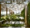 The vertical 'green wall' garden in Terminal 3 at Changi Airport.