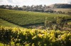 Sample cool-climate wines in Orange, New South Wales.