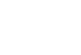 vision-2020-logo