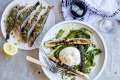 Burrata with charred zucchini and spring onions 