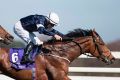 Rekindling and Wayne Lordan on their way to winning the Ballysax Stakes.