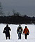 Walking the London Loop. Section 5 - Hamsey Green to Coulsdon South, London and Surry, England UK, January, 2010