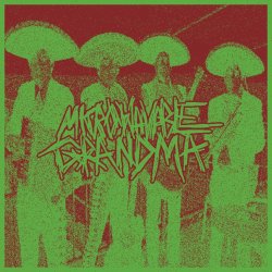 MICROWAVABLE GRANDMA - EXPLOSIVE DIARY [ep] (2016)