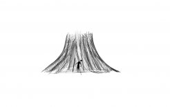 The tallest tree. Illustration