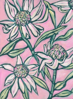 Pink Waratah Painting