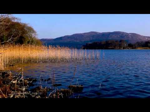 Nature Sounds-8 Hour Relaxation-Birds Singing-Sound of Gentle Lake Waves Meditation