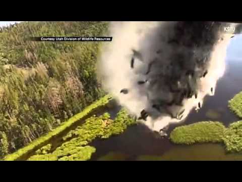 Plane Drops Hundreds Of Fish Into Lake