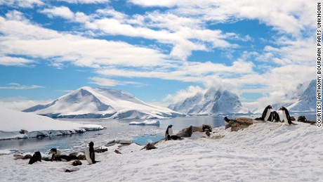 Anthony Bourdain Parts Unknown Antarctica episode